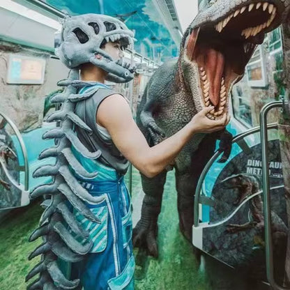 75/115CM Realistic Dinosaur Skeleton